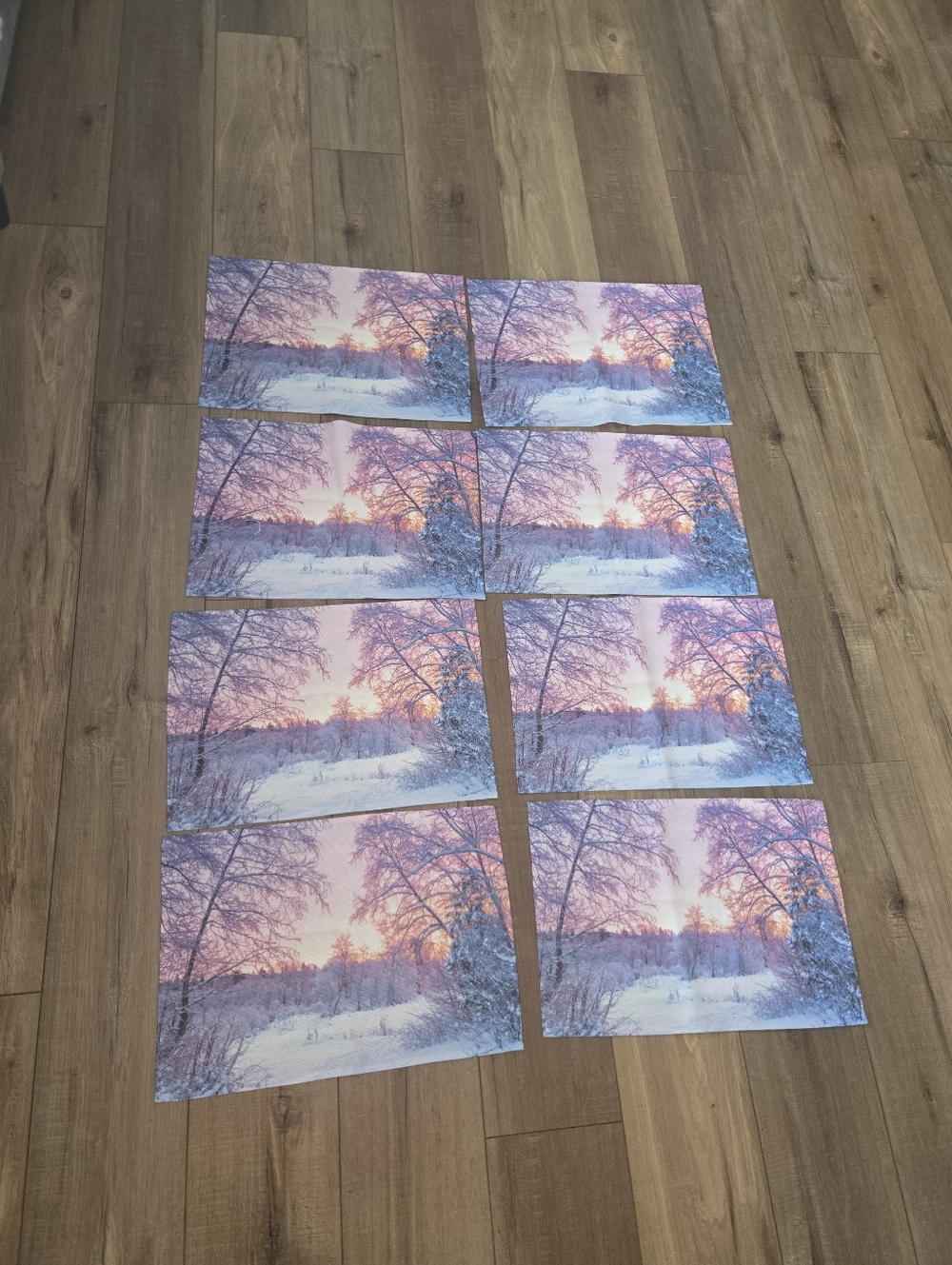 Winter Sunrise Placemat Set - Pink Lavender Blue Scenic Prints (8)